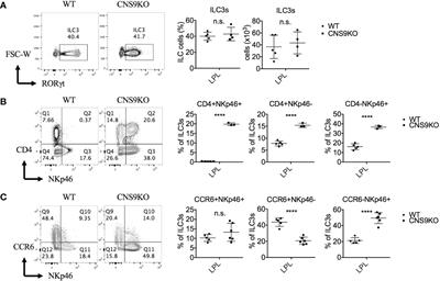 A cis-element at the Rorc locus regulates the development of type 3 innate lymphoid cells